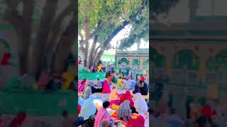 Kaliyar Sharif dargah Sharif youtuber kavvali trending kavvali viralreels viralshort [upl. by Milicent875]