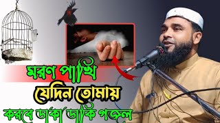 মরণ পাখি যেদিন তোমায় করবে ডাকা ডাকি গজল  Maulana Emdadul Haque  bangla gojol [upl. by Levana619]