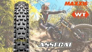 Nuovo Maxxis Assegai WT 250  TB00064500  TB00017200 dettaglio tasselli [upl. by Sochor148]