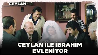 Ceylan Türk Filmi  Ceylan ile İbrahim Evleniyor [upl. by Pouncey]