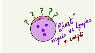 Lymphoblast vs Myeloblast ✅✏️ vimpt topic [upl. by Etnahsal]