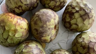 Organic Cherimoya Meal 4 pm Second Last Meal Of The Day [upl. by Ezra638]