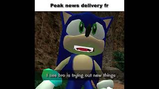 Sonic The Brainrot News Reporter sonic memes [upl. by Kenweigh245]