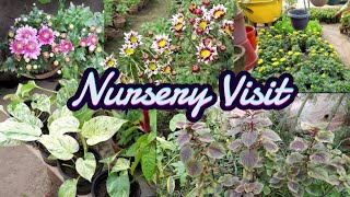 🔴Nursery visit vlog🪴🌸🪻 [upl. by Notwen984]