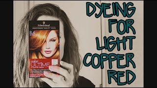 Dyeing for SCHWARZKOPF Light Copper Red 84 [upl. by Wallack]