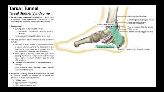 Tarsal Tunnel Syndrome  Clinical Anatomy amp Presentation [upl. by Anirbus]