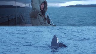 Whale Watching tour in Norway on a rainy day [upl. by Notelrahc]