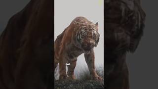 Tigers vs Lions Which is DEADLIER animals tiger lion [upl. by Ueihtam910]