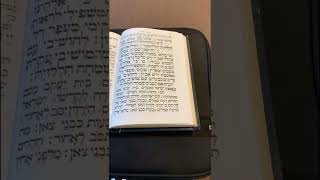 Chazan Nathan Gluck  Btzais Yisroel Mimitzrayim 2 [upl. by Wina448]