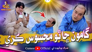 Gamoo Sha Tho Mahesoos Kare  Asif Pahore Gamoo  Sohrab Soomro  Gamoo New Video  2024 [upl. by Wimsatt325]