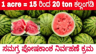 Integrated Organic Fertilizer Management for Watermelon Crop  NPK  Activmax  Activzyme  AMC [upl. by Billat]