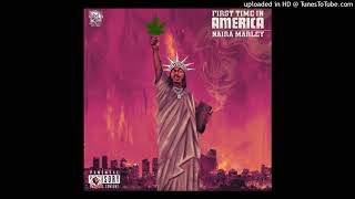 Naira Marley – First Time In America Full Song [upl. by Hung885]