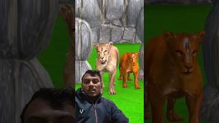 शेर हुआ पत्नी से परेशान  Sher Ki Kahani  Animals Stories  Hindi Stories  Hindi Kahani  shorts [upl. by Dlabihcra]