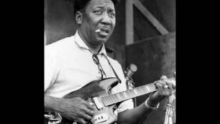 Muddy Waters  I Bes Troubled [upl. by Onimixam252]