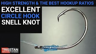 All time favourite circle hook snell knot  High strength amp perfect hookup ratios [upl. by Mylan]