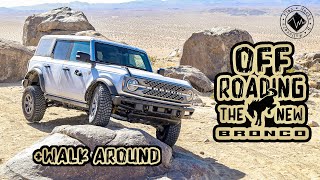 Ford Bronco EVERGLADES Extreme OFF ROAD Test  Is This The BEST [upl. by Pavkovic]