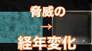 レンマ lemma マリスコ ペトローリオ レビュー 革財布 レンマ lemma マリスコ ペトローリオ プエブロレザー コンパクト財布 ココマイスター メンズ財布 レザーアイテム [upl. by Parent]