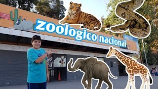 Visitando el Zoologico Metropolitano santiago de chile [upl. by Eirehc]