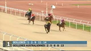 COURSES ÉCOLE Prix de lEcole des Courses Hippiques  Marseille Vivaux  9 Mars 2016  GALOP [upl. by Laniger814]