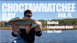 Choctawhatchee Bay Inshore  River Fishing 30a Inshore Fishing [upl. by Annora100]