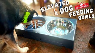 Top Review Slow Feeder Dog Bowl😍 slowfeeder [upl. by Xuerd]