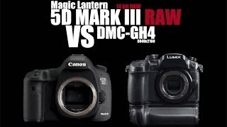 Canon 5D Mark III RAW VS Panasonic GH4 Which one is better [upl. by Otokam]