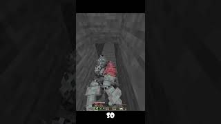 minecraft bug spawns 1000 silverfish [upl. by Enileve492]