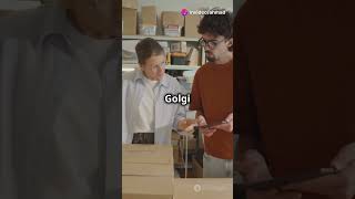 Golgi Apparatus Know About It [upl. by Ilario]