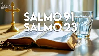 SALMO 23 amp SALMO 91 ¡Las dos oraciones más poderosas en la Biblia [upl. by Erdnad]