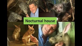 Nocturnal house in Frankfurt Zoo with amazing collection [upl. by Gievlos202]