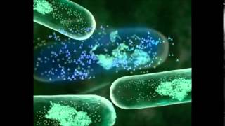 Mecanismos de resistencia bacteriana [upl. by Croydon]