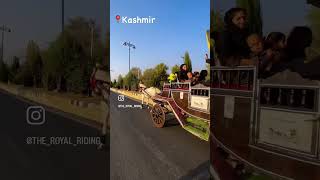 Book your ride now explore dallake with the royal riding Contact6006622637 [upl. by Adihahs727]