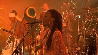 Tiken Jah Fakoly  Live in Paris 2008 [upl. by Ydda]