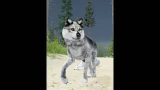 WolfQuest AE Soundtracks OST Slowed Flight Of The Wapiti amp 27 The Journey [upl. by Ahsiuq681]