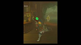 Zelda but Every Single NPC is MISSING and Randomized [upl. by Gosselin]