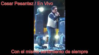 En Vivo no llores por mi [upl. by Herculie]