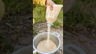 Survival Skills SMART idea and USEFUL bushcraft camping outdoors [upl. by Eillo]