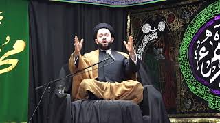 MYF  Sayed Jawad Qazwini Night 2  FATIMID DYNASTY HISTORY OF ISLAM [upl. by Aiuoqes21]