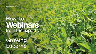 Webinar Growing Lucerne – Highprotein Forage Crop for Grazing [upl. by Retsim]