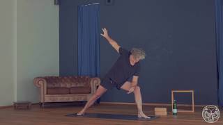 Vinyasa Yoga mit Jörg  Fokus Hüftöffnung  Level II [upl. by Loredo]