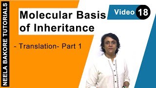 Molecular Basis of Inheritance  NEET  Translation  Part 1  Neela Bakore Tutorials [upl. by Guerra827]