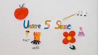 Unsere 5 Sinne [upl. by Veradis]