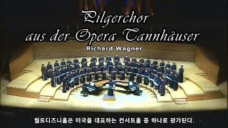 Pilgerchor aus der Opera Tannhäuser 🇺🇸 이마에스트리 IMAESTRI 순례자의 합창 [upl. by Cogen]