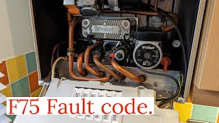 Vaillant Ecotec Pro F75 Fault [upl. by Grochow750]