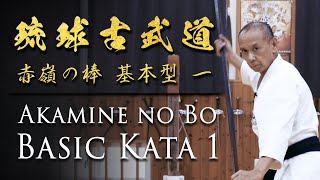 Bo Kata Training  Ryukyu Kobudo Grand Master  Shimbukan  Ageshio Japan [upl. by Pul]