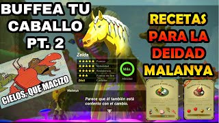 Como AUMENTAR AL MAXIMO LA FUERZA de tus Caballos  Zelda TOTK  Deidad de los Caballos Malanya [upl. by Eppillihp782]