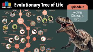 Evolutionary Tree of Life  Episode 2  Reptiles amp Birds [upl. by Yk761]