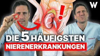 Nierenprobleme Das sind die 5 häufigsten Nierenerkrankungen Ursachen Anzeichen und Therapie [upl. by Esac]