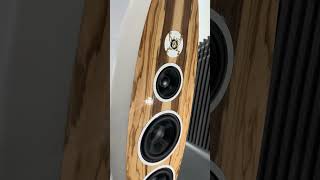 Fono acustica hifi music hifiaudio loudspeaker bass homeaudio audiophile [upl. by Meuse]