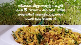 വീട്ടിനുള്ളിൽ മുളപ്പിച്ചെടുത്ത പയർ ഇല തോരൻmicrogreens Recipieeasy methode [upl. by Bidget781]